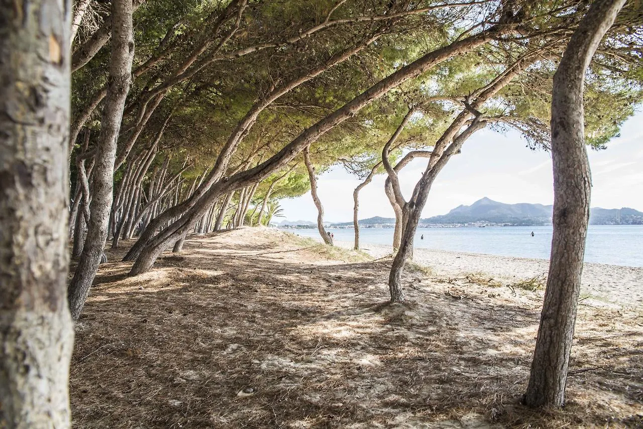 Beach Inn Apartment Port de Alcudia  0*, Port de Alcudia (Mallorca) Spain