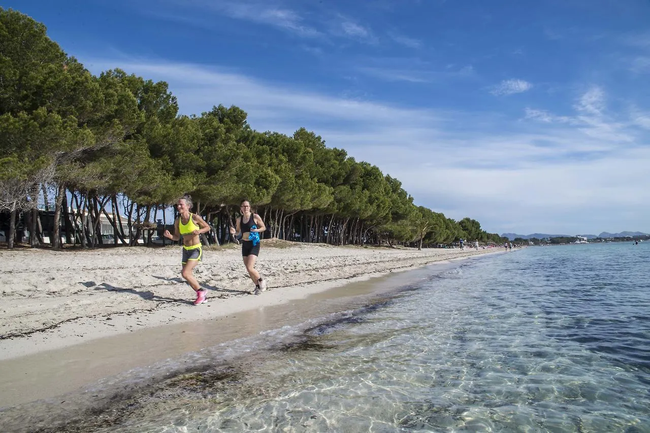 Beach Inn Apartment Port de Alcudia   Port de Alcudia (Mallorca)